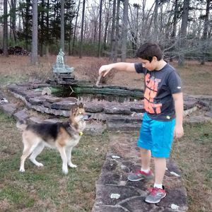 Meet your Posher, Ernie